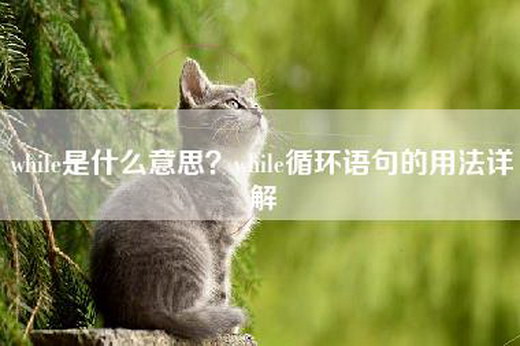 while是什么意思？while循环语句的用法详解