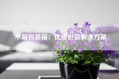 木箱包装箱：优质包装解决方案