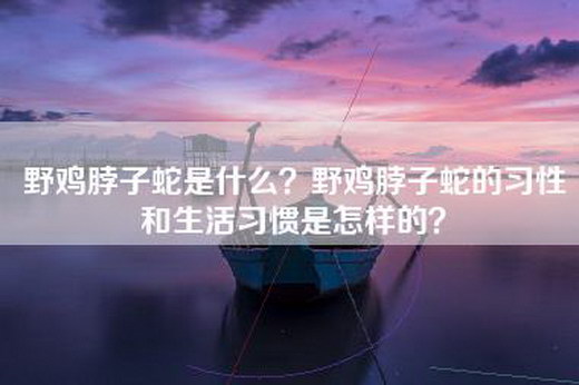 野鸡脖子蛇是什么？野鸡脖子蛇的习性和生活习惯是怎样的？