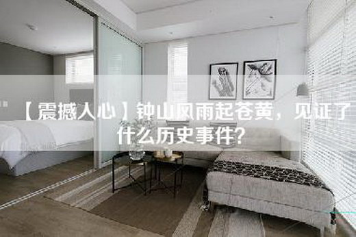 【震撼人心】钟山风雨起苍黄，见证了什么历史事件？