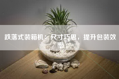 跌落式装箱机：尺寸巧思，提升包装效率