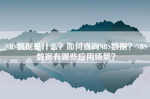 NBS数据是什么？如何查询NBS数据？NBS数据有哪些应用场景？