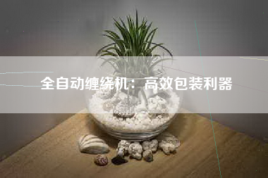 全自动缠绕机：高效包装利器