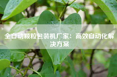 全自动颗粒包装机厂家：高效自动化解决方案