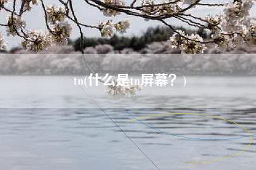 tn(什么是tn屏幕？)