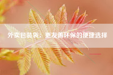 外卖包装袋：更友善环保的便捷选择