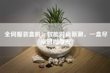 全伺服装盒机：智能时尚新潮，一盒尽享时尚尊贵