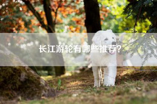 长江游轮有哪些推荐？