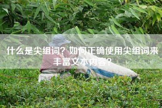 什么是尖组词？如何正确使用尖组词来丰富文本内容？