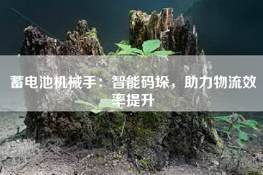 蓄电池机械手：智能码垛，助力物流效率提升