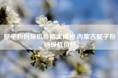 腻子粉码垛机价格大揭秘,内蒙古腻子粉码垛机价格