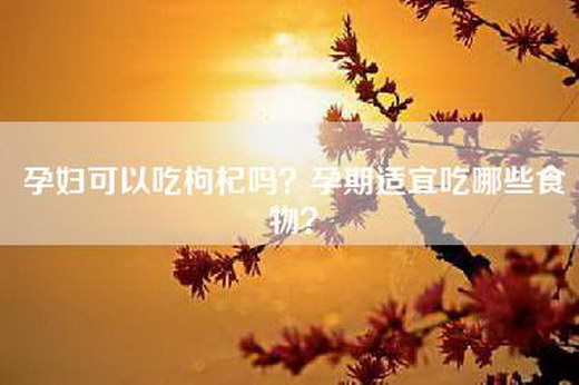 孕妇可以吃枸杞吗？孕期适宜吃哪些食物？