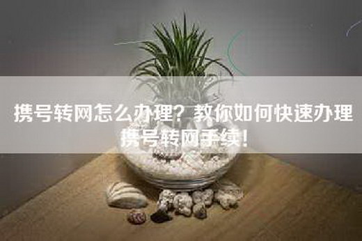 携号转网怎么办理？教你如何快速办理携号转网手续！