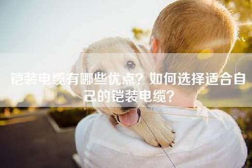 铠装电缆有哪些优点？如何选择适合自己的铠装电缆？