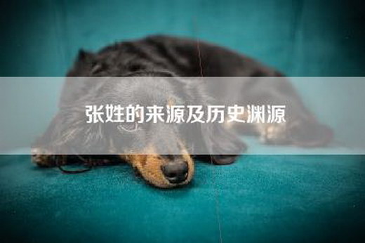 张姓的来源及历史渊源