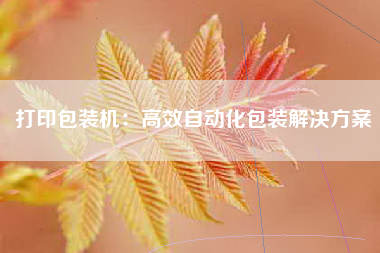 打印包装机：高效自动化包装解决方案