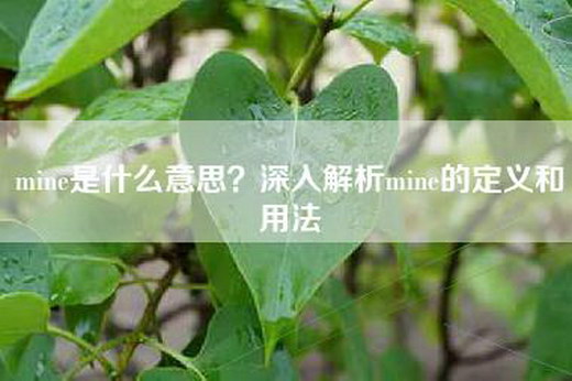 mine是什么意思？深入解析mine的定义和用法