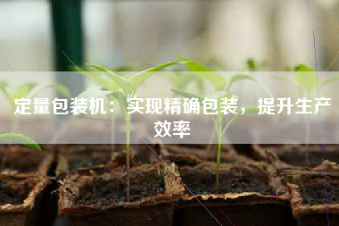 定量包装机：实现精确包装，提升生产效率