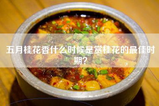 五月桂花香什么时候是赏桂花的最佳时期？