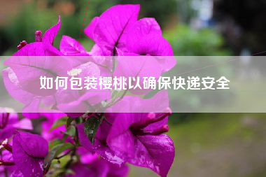 如何包装樱桃以确保快递安全