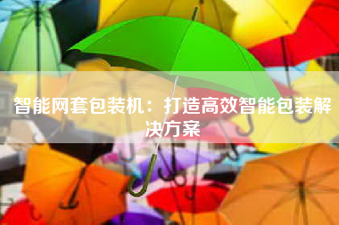 智能网套包装机：打造高效智能包装解决方案