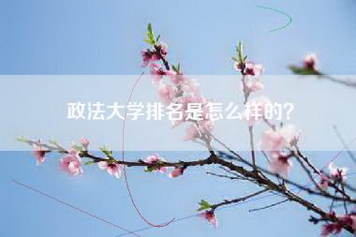 政法大学排名是怎么样的？