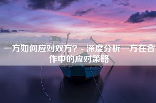 一方如何应对双方？- 深度分析一方在合作中的应对策略