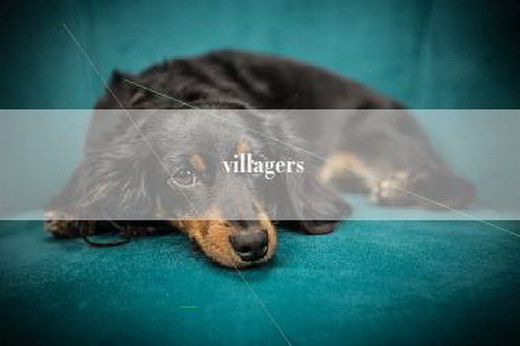 villagers