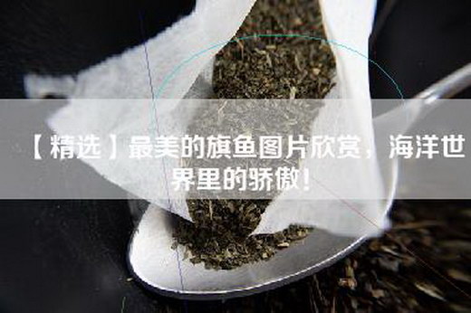 【精选】最美的旗鱼图片欣赏，海洋世界里的骄傲！