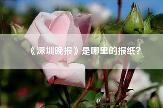 《深圳晚报》是哪里的报纸？