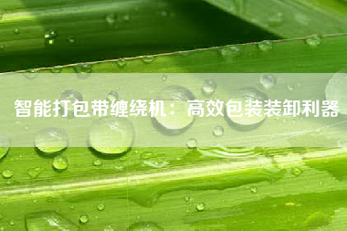 智能打包带缠绕机：高效包装装卸利器