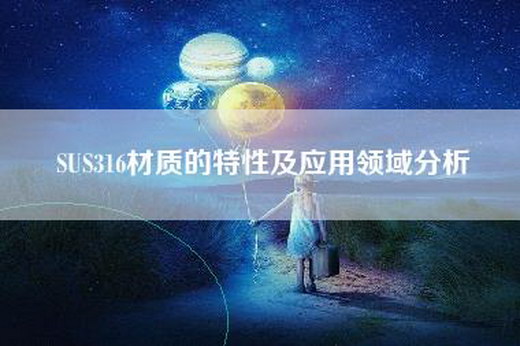 SUS316材质的特性及应用领域分析