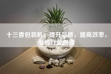 十三香包装机：提升品质，提高效率，引领行业创新