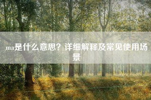 ma是什么意思？详细解释及常见使用场景