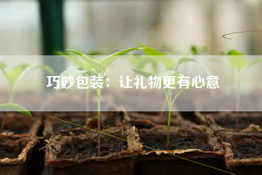 巧妙包装：让礼物更有心意