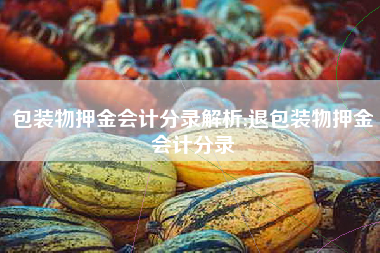 包装物押金会计分录解析;退包装物押金会计分录