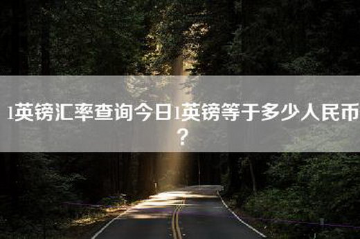 1英镑汇率查询今日1英镑等于多少人民币？