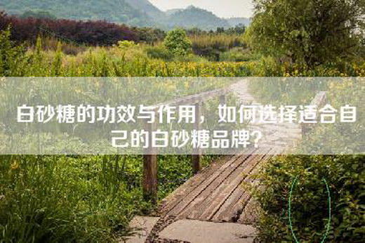 白砂糖的功效与作用，如何选择适合自己的白砂糖品牌？