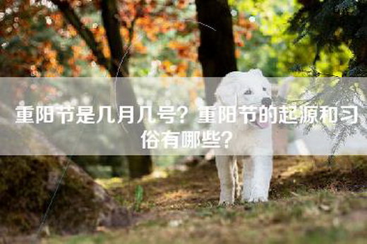 重阳节是几月几号？重阳节的起源和习俗有哪些？