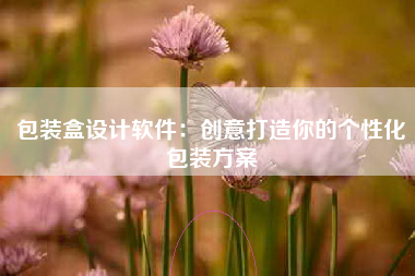 包装盒设计软件：创意打造你的个性化包装方案