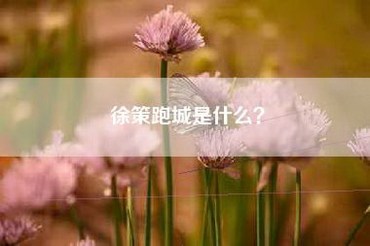 徐策跑城是什么？