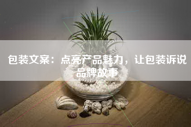 包装文案：点亮产品魅力，让包装诉说品牌故事