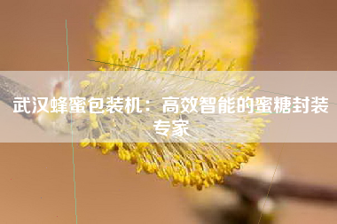 武汉蜂蜜包装机：高效智能的蜜糖封装专家