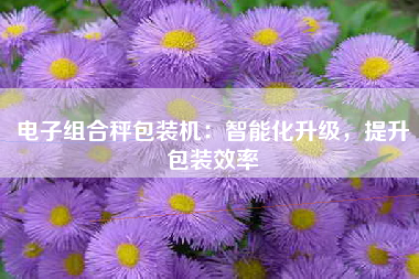 电子组合秤包装机：智能化升级，提升包装效率