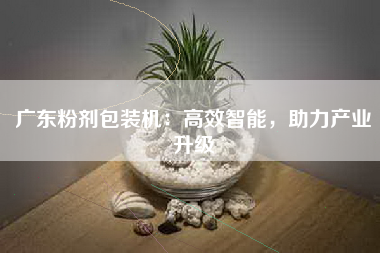 广东粉剂包装机：高效智能，助力产业升级