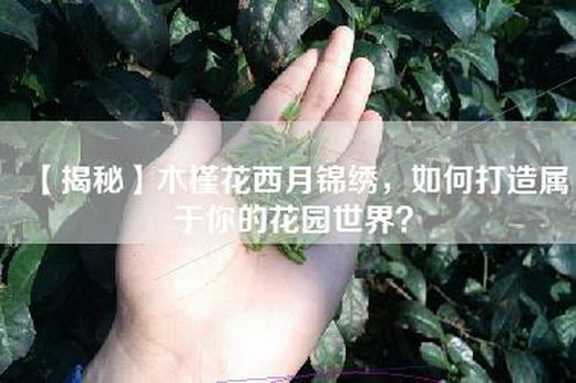 【揭秘】木槿花西月锦绣，如何打造属于你的花园世界？