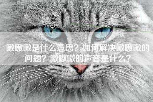 嗷嗷嗷是什么意思？如何解决嗷嗷嗷的问题？嗷嗷嗷的声音是什么？