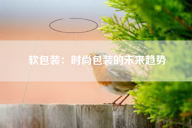 软包装：时尚包装的未来趋势