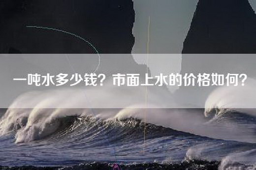 一吨水多少钱？市面上水的价格如何？