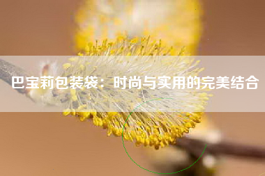 巴宝莉包装袋：时尚与实用的完美结合